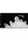 Ноутбук Lenovo ThinkPad Yoga (i5-4210M | 4GB | 128SSD)